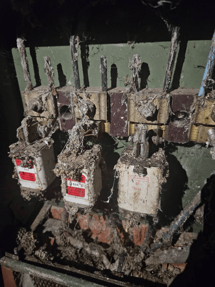 File Dec 15 2024, 17 52 05-min