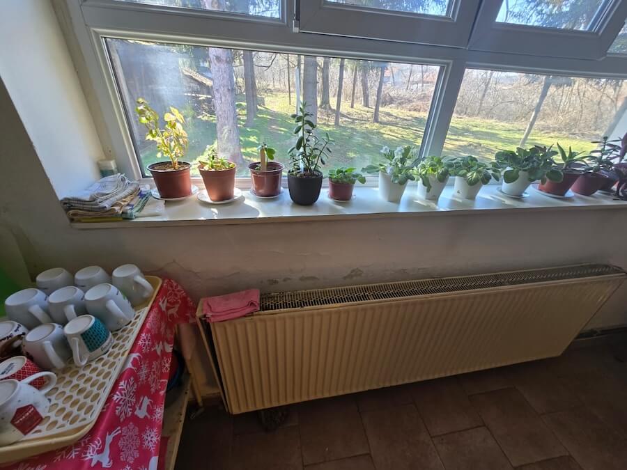 PHOTO-2025-07-29-20-56-47 3